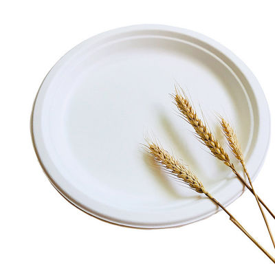 Auswechselbare 8in 10in biologisch abbaubare Bagassen-Geschirr-Platte freies Pfas nehmen Behälter heraus
