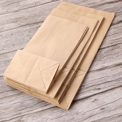 Einweggeschirr-Süßigkeits-Papiertüte Kraftpapiers biologisch abbaubare ohne Griff BSCI