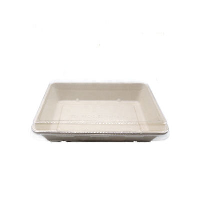 Schnellimbiss-biologisch abbaubare Bagassen-Geschirr-Sushi Tray With Pet Lid des Essgeschirr-11g