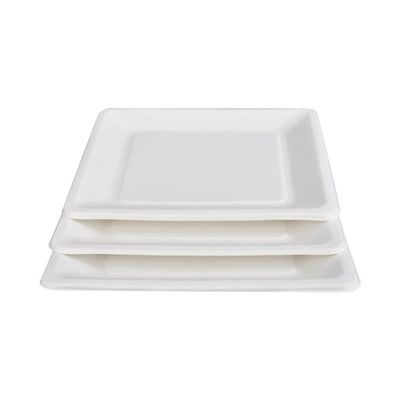 9in 10in Eco freundlicher kompostierbarer Zuckerrohr-Pappteller-Nachtisch-quadratische Kuchen-Platte