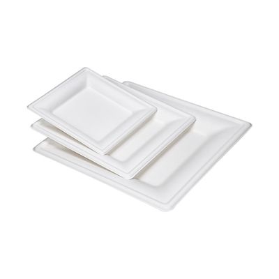 9in 10in Eco freundlicher kompostierbarer Zuckerrohr-Pappteller-Nachtisch-quadratische Kuchen-Platte