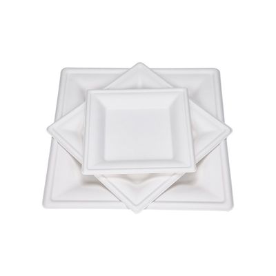 9in 10in Eco freundlicher kompostierbarer Zuckerrohr-Pappteller-Nachtisch-quadratische Kuchen-Platte