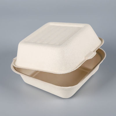 Ungiftige biologisch abbaubare Geschirr-Massen-Maschinenhälfte der Bagassen-21g 6 Zoll-Bagassen-Burger-Kasten