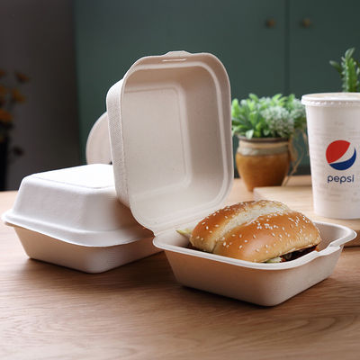 Ungiftige biologisch abbaubare Geschirr-Massen-Maschinenhälfte der Bagassen-21g 6 Zoll-Bagassen-Burger-Kasten