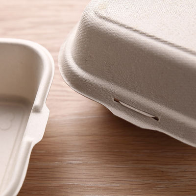 Ungiftige biologisch abbaubare Geschirr-Massen-Maschinenhälfte der Bagassen-21g 6 Zoll-Bagassen-Burger-Kasten