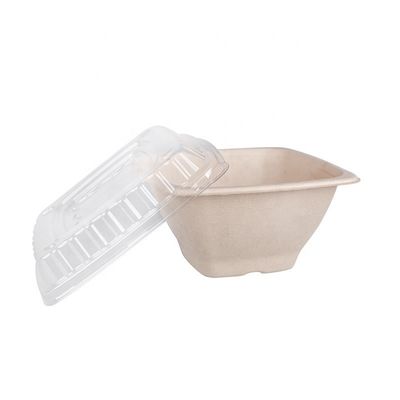 16 24 biologisch abbaubarer Bagassen-Schüssel-Obstsalat-Behälter-Kasten des Zuckerrohr-32oz mit Abdeckung