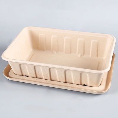 Bagassen-Geschirr-Salat-Schnellimbiß 450ml 550ml natürlicher Eco biologisch abbaubarer, zu gehen Behälter