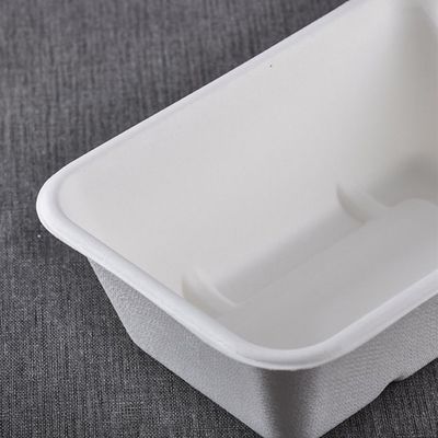 Bagassen-Geschirr-Salat-Schnellimbiß 450ml 550ml natürlicher Eco biologisch abbaubarer, zu gehen Behälter