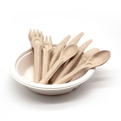 Freundliche Wegwerfkompostierbare Gabeln und Löffel biologisch abbaubare Bagasse Eco tischbesteck-141.7mm
