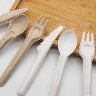 Freundliche Wegwerfkompostierbare Gabeln und Löffel biologisch abbaubare Bagasse Eco tischbesteck-141.7mm