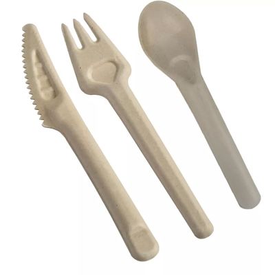Freundliche Wegwerfkompostierbare Gabeln und Löffel biologisch abbaubare Bagasse Eco tischbesteck-141.7mm