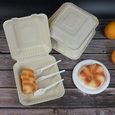 Mitnehmermikrowellen-sichere Bagassen-Maschinenhälften-Geburtstagsfeier-Wegwerfplatten der behälter-800ml