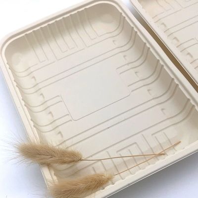 Biologisch abbaubares versiegelbares Fleisch-Maisstärke-Geschirr-Tiefkühlkost Tray Container 150mm