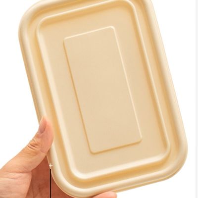 Kompostierbarer Mahlzeit-Brotdose-Schnellimbiss-Verpackenwegwerfkasten der Maisstärke-500 600ML