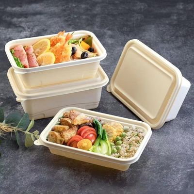 Kompostierbarer Mahlzeit-Brotdose-Schnellimbiss-Verpackenwegwerfkasten der Maisstärke-500 600ML